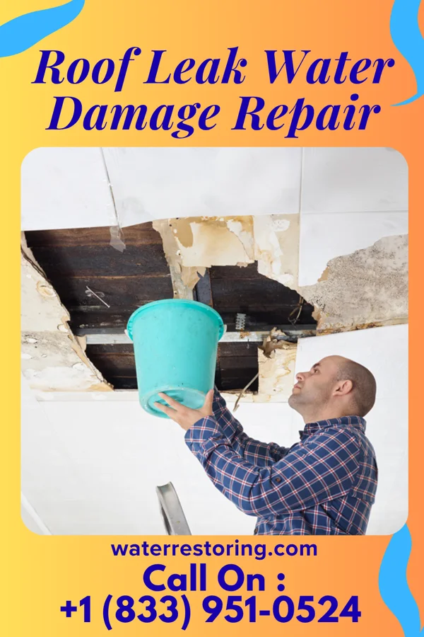 Roof Leak Water Damage Repair in Willisville, AR
